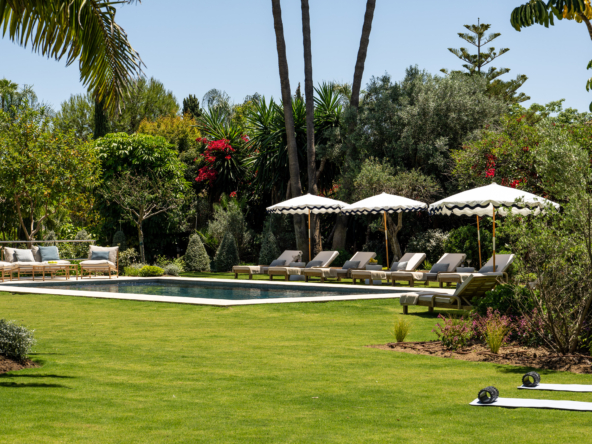 PalmSprings_ (71 of 16)