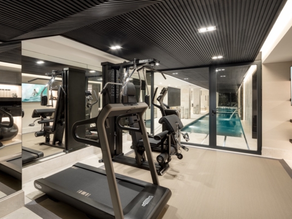 spca_visual_marbellaV9A9870