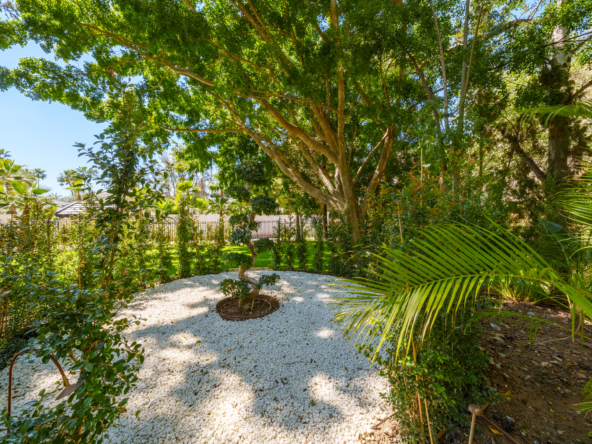 Las Palmeras Exteriors 10mb-15