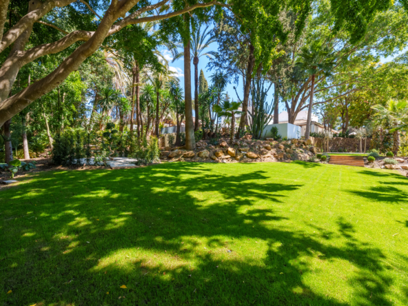 Las Palmeras Exteriors 10mb-16